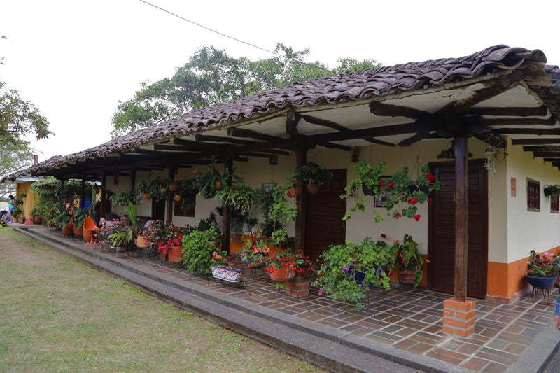 Colombia Cauca Timbio AA - 42016 - GrainPro Bags - September 2026 Shipment - SEAFORTH