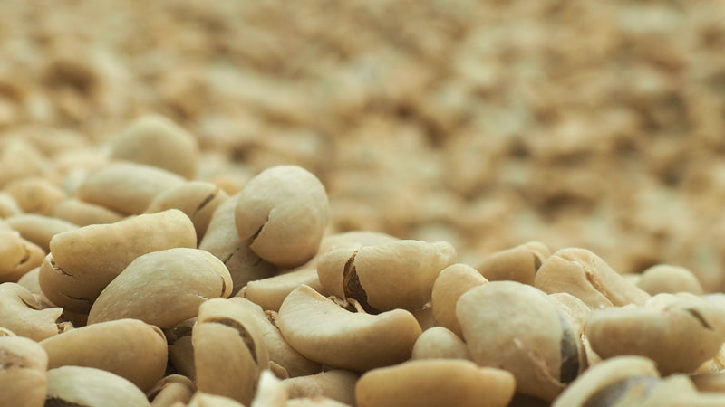 Tanzania CPU Washed Peaberry - *43720* - 24468 - SPOT RCWHSE