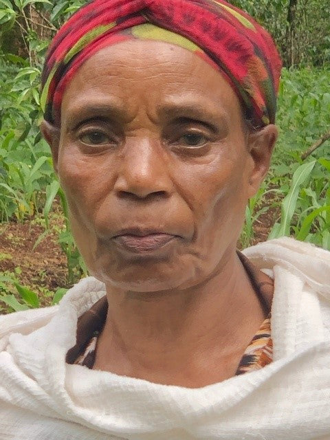 ETHIOPIA YIRGACHEFFE 1 NATURAL ORGANIC TEWABECH TILO - 33286 - GrainPro Bags - SPOT RCWHSE