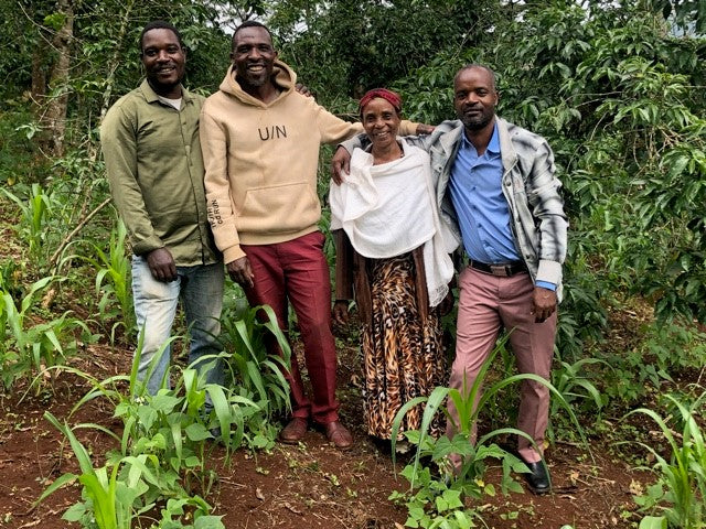 ETHIOPIA YIRGACHEFFE 1 NATURAL ORGANIC TEWABECH TILO - 33286 - GrainPro Bags - SPOT RCWHSE