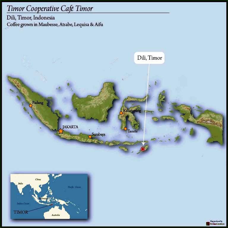 TIMOR FT ORGANIC - *50363* - 23862 - SPOT RCWHSE