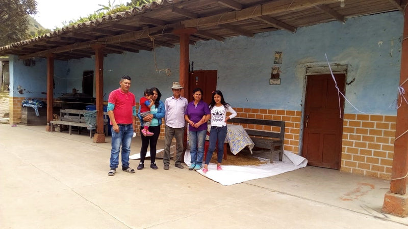 Colombia Narino Medina Anaerobic Fermentation - *50310* - 25884 - 70.2 kg GrainPro Bags - SPOT RCWHSE