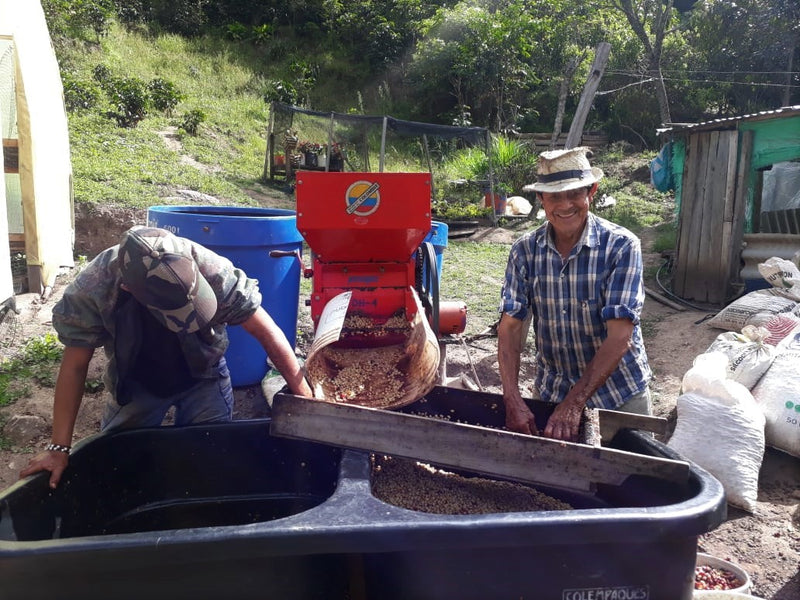 Colombia Narino Medina Anaerobic Fermentation - *50310W* - 27779 - 70.2 kg GrainPro Bags - SPOT COSEATAC