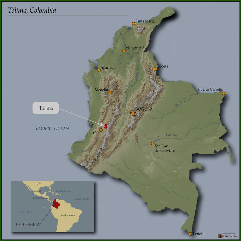 COLOMBIA FT-FLO/USA ORGANIC TOLIMA PALMASAN - *49777* - 25045 - 70.0 kg GrainPro Bags - SPOT RCWHSE