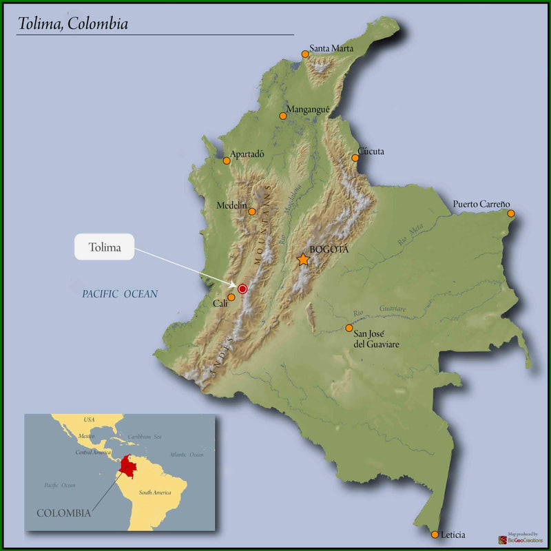 COLOMBIA FT-USA ORGANIC TOLIMA MULTICOOP - 32654 - 70.1 kg GrainPro Bags - SPOT RCWHSE