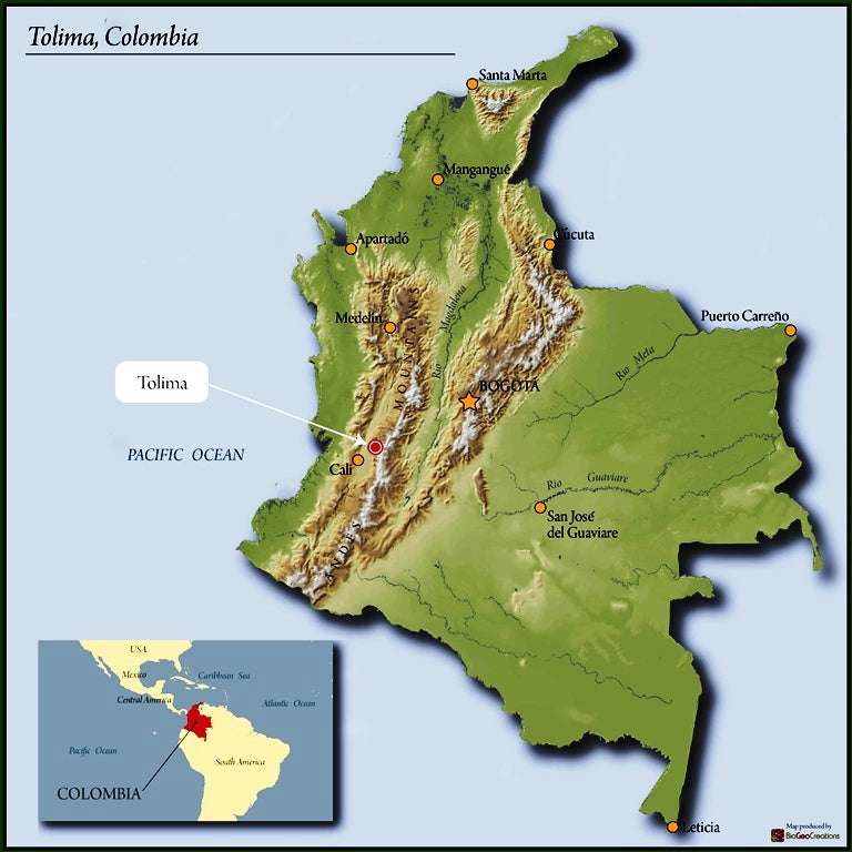 COLOMBIA FT-FLO ORGANIC TOLIMA FABICOOP - 29583 - 70.1 kg GrainPro Bags - SPOT RCWHSE