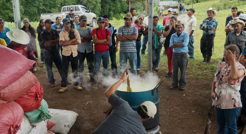 Honduras Farmgate Santa Elena Catracha Dulce Meloso - 31975 - GrainPro Bags - SPOT RCWHSE