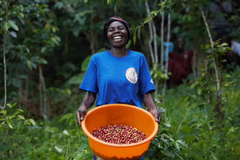 UGANDA FT-FLO ORGANIC FRIENDS OF MOTHERS WOMEN'S COFFEE A+ - 33566-1 - GrainPro Bags - SPOT SEAFORTH