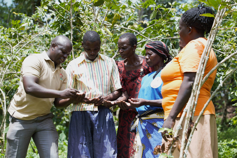 UGANDA FT-FLO ORGANIC A+ - 33567 - GrainPro Bags - SPOT SEAFORTH