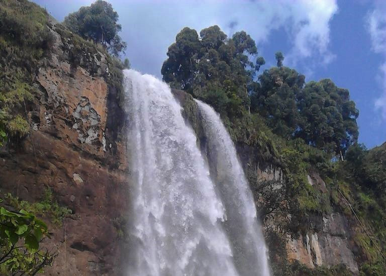 UGANDA ORGANIC SIPI FALLS WASHED - *51230* - 25574-1 - GrainPro Bags - SPOT COSEATAC