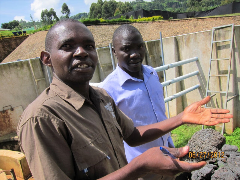 UGANDA ORGANIC SIPI FALLS NATURAL ANAEROBIC - 35182 - GrainPro Bags - SPOT RCWHSE