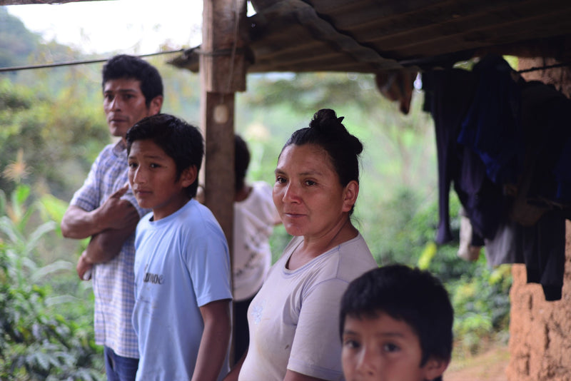 PERU ORGANIC SAN IGNACIO EL HUABO - *51403* - 25734 - GrainPro Bags - SPOT RCWHSE