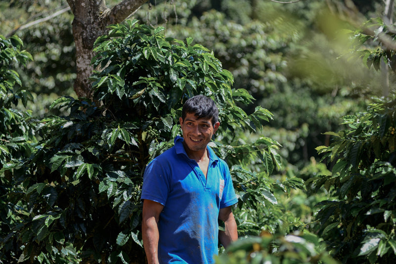PERU ORGANIC SAN IGNACIO EL HUABO - *51403* - 25734 - GrainPro Bags - SPOT RCWHSE