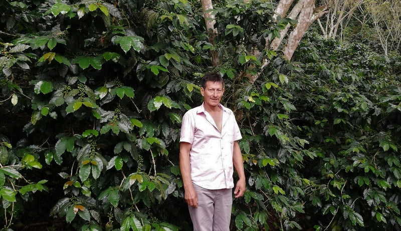 PERU ORGANIC AMAZONAS JUMARP - 28329 - SPOT RCWHSE