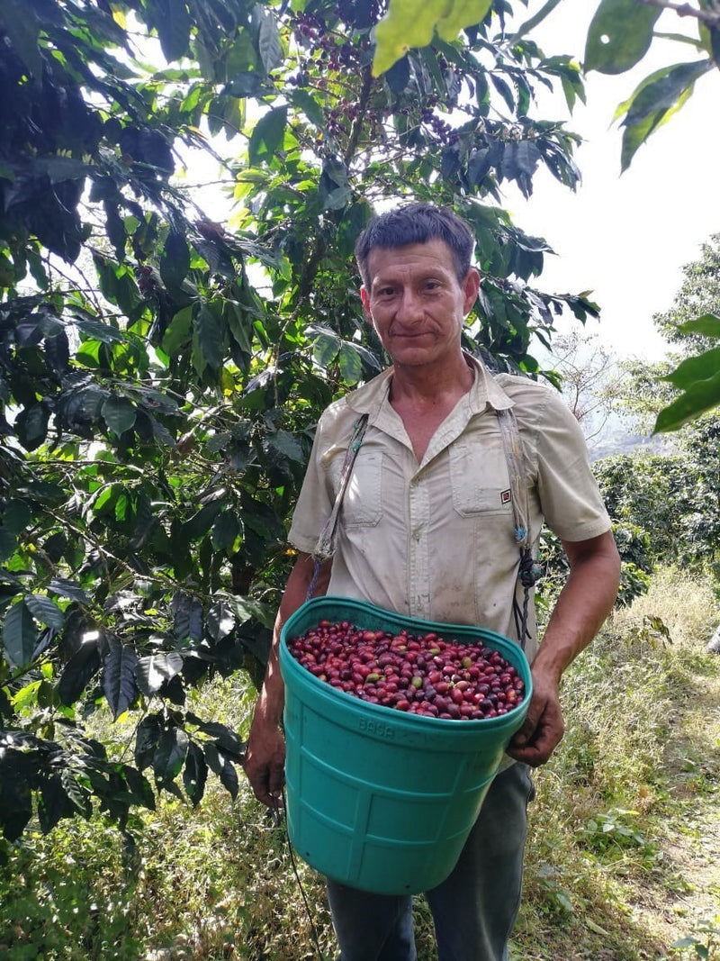 PERU FT-FLO ORGANIC AMAZONAS JUMARP - *50522* - 24886 - Ecotact Bags - SPOT RCWHSE