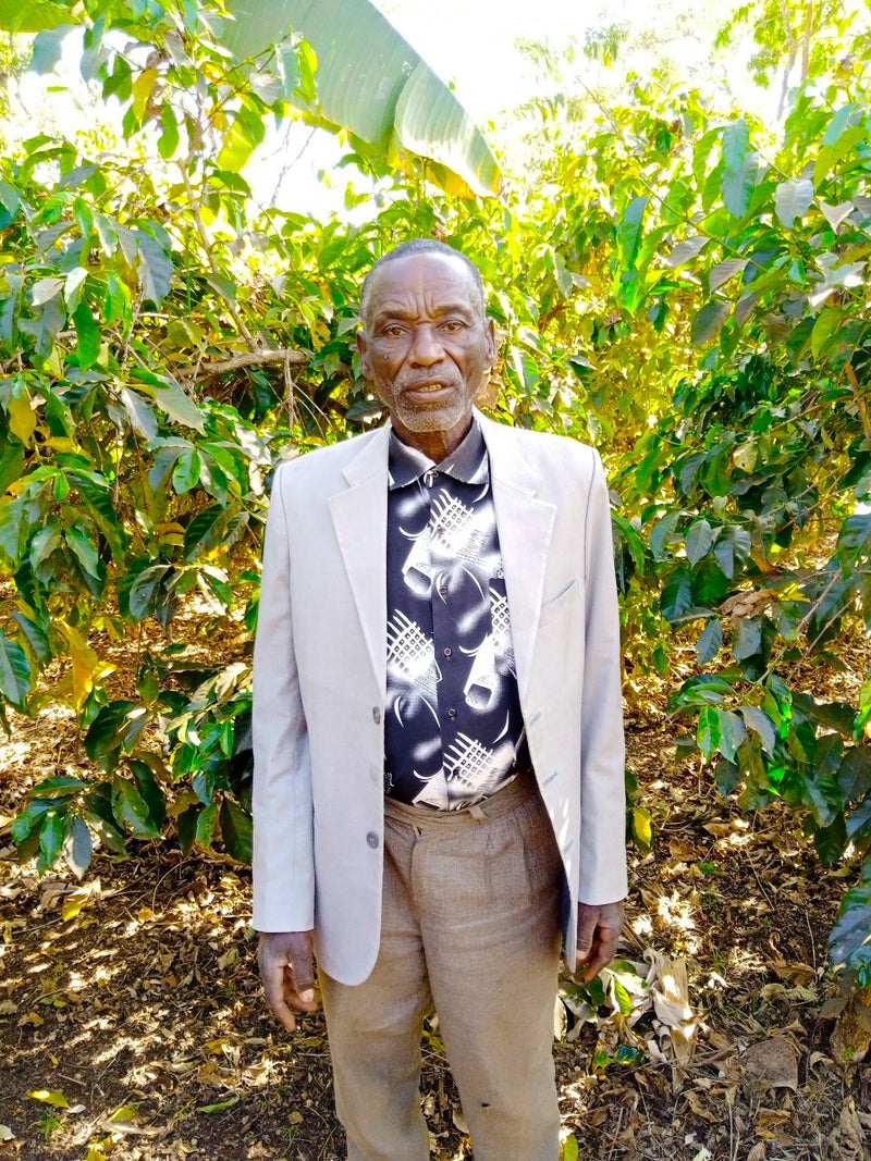 ETHIOPIA YIRGACHEFFE 1 NATURAL ORGANIC WORKA SAKARO - HIRBE GASHA - 29084-1 - GrainPro Bags - SPOT RCWHSE