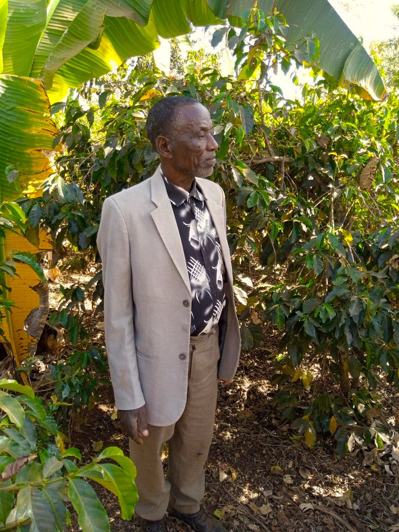 ETHIOPIA YIRGACHEFFE 1 NATURAL ORGANIC WORKA SAKARO - HIRBE GASHA - 29084-1 - GrainPro Bags - SPOT RCWHSE