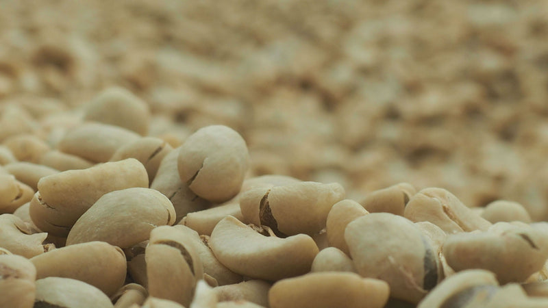 ETHIOPIA SIDAMA 2 WASHED FT ORGANIC WATA DARA - *52560* - 27629 - Ecotact Bags - SPOT RCWHSE