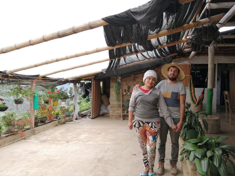 Colombia Huila Villa Fatima AA - *51422* - 24962 - GrainPro Bags - SPOT RCWHSE