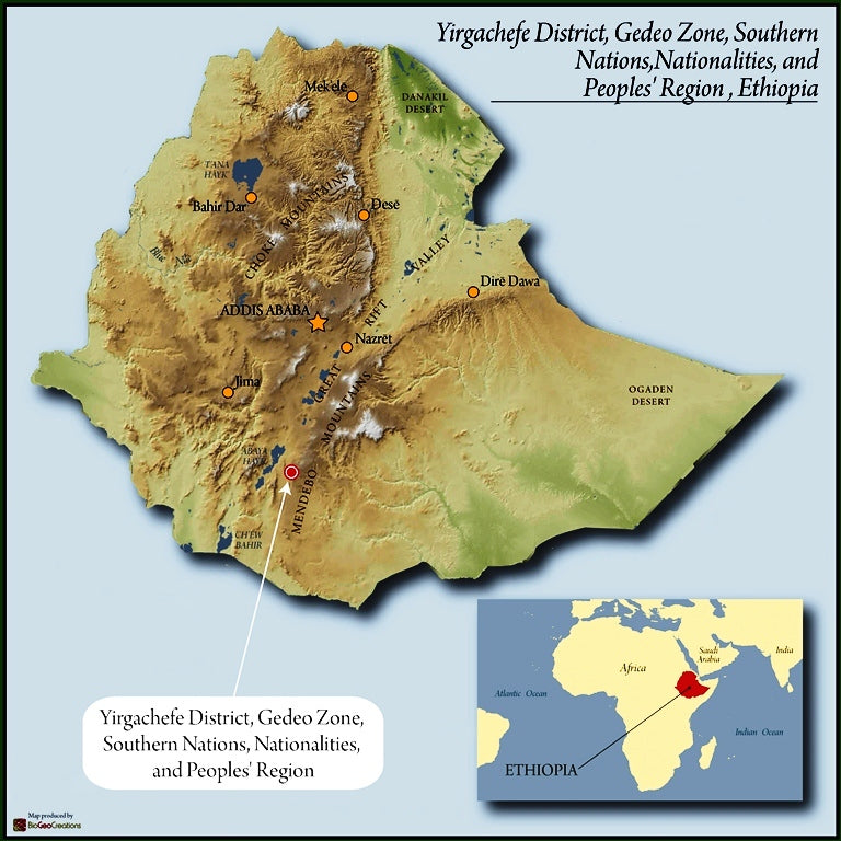 ETHIOPIA YIRGACHEFFE 3 NATURAL FT-FLO/USA ORGANIC ARAMO - 35512 - GrainPro Bags - SPOT RCWHSE
