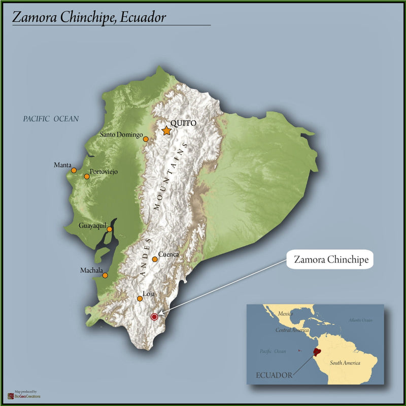 Ecuador Farmgate Zamora Chinchipe Juan Peña Presents Palanda Blend - *51965* - 27273-2 - 25.0 kg Boxes - SPOT RCWHSE