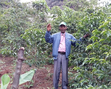 ETHIOPIA YIRGACHEFFE GEDEB 1 NATURAL ORGANIC CHELBESA ABERA DEGELA - *50538* - 25442 - GrainPro Bags - SPOT COSEATAC