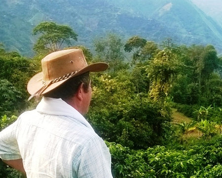 COLOMBIA ORGANIC TOLIMA ASEMPROGROPE - *49936W* - 25088 - 70.1 kg GrainPro Bags - SPOT COSEATAC