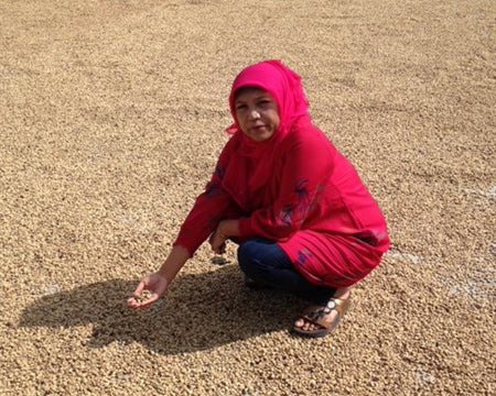 SUMATRA ORGANIC ADSENIA MANDHELING TRIPLE PICKED GRADE 1 - *50020* - 24377 - SPOT RCWHSE