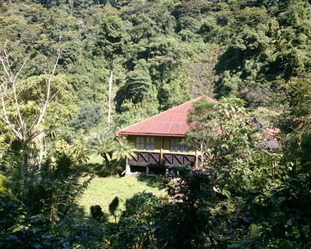 Mexico Altura Finca San Carlos - Lot 1 *49722* - 24712 - SPOT RCWHSE