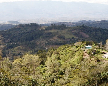 GUATEMALA ORGANIC ATITLAN AAPOSA SHB EP - 33349 - GrainPro Bags - SPOT RCWHSE