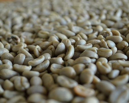 DECAF PERU ORGANIC NORTE SHB EP ROYAL SELECT WATER PROCESS - 34835 - SPOT RCWHSE