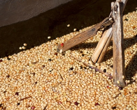 ETHIOPIA YIRGACHEFFE 2 WASHED FT-FLO/USA ORGANIC ARAMO - 33326-2 - GrainPro Bags - SPOT COSEATAC