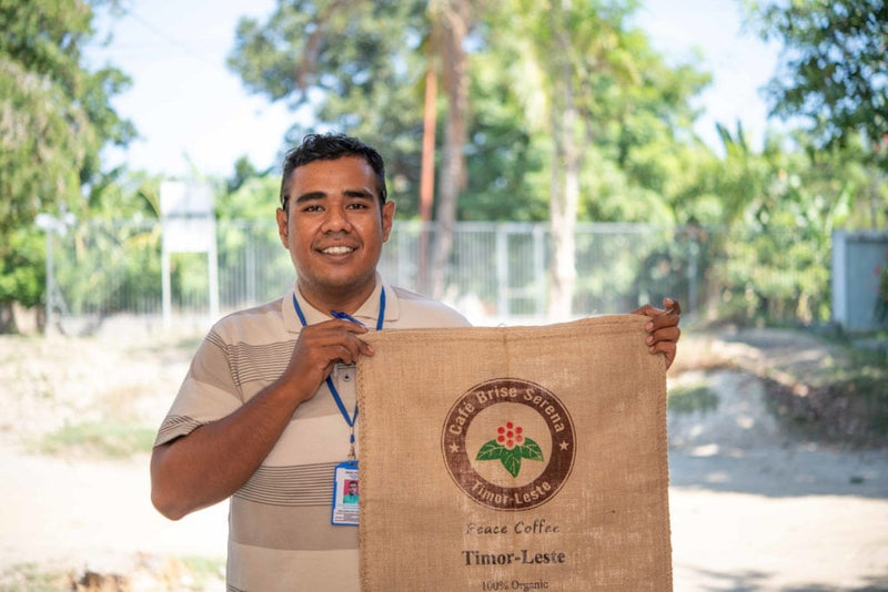 TIMOR LESTE FARMGATE ORGANIC ERMERA KOLKOLI - 30311 - 30.0 kg GrainPro Bags - SPOT RCWHSE