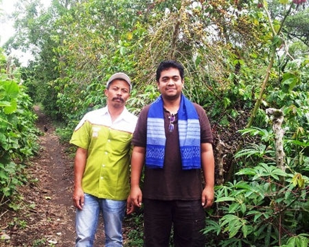 Sumatra Bener Meriah Mandheling Grade 1 - *48786* - 24447 - SPOT RCWHSE