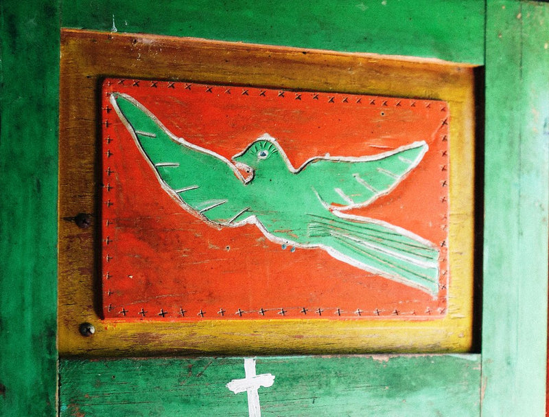GUATEMALA FT-FLO/USA ORGANIC HUEHUETENANGO ASOBAGRI SHB EP - *52674* - 26956 - SPOT RCWHSE