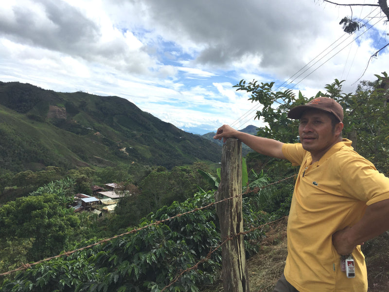 COLOMBIA FT-FLO ORGANIC HUILA ASOPCAFA - 30887-2 - 70.2 kg Bags - SPOT SEAFORTH