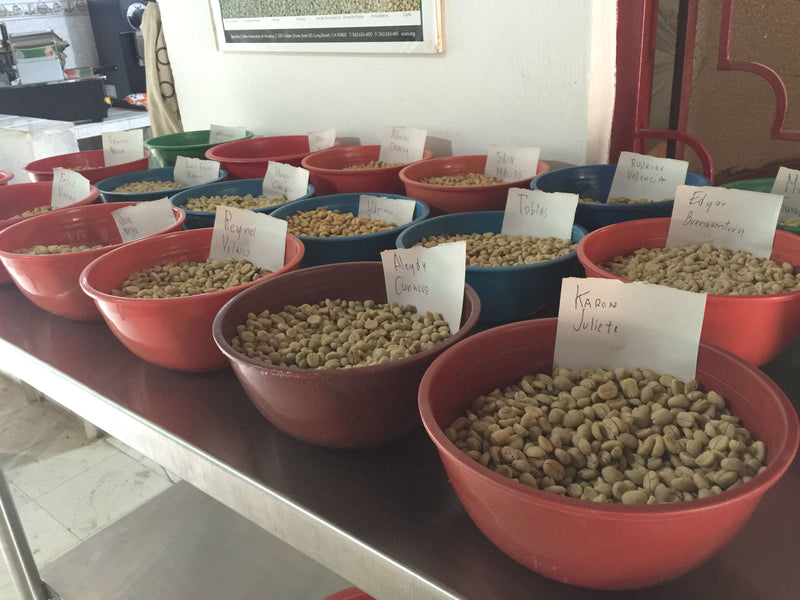 COLOMBIA FT-FLO ORGANIC HUILA ASOPCAFA - 30887-2 - 70.2 kg Bags - SPOT SEAFORTH