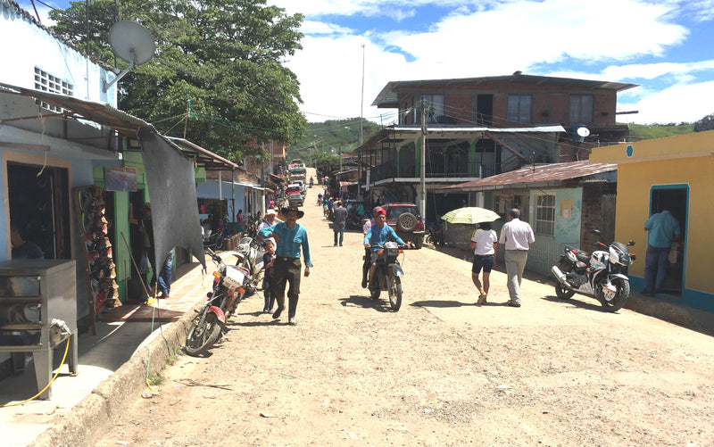 COLOMBIA FT-FLO ORGANIC HUILA ASOPCAFA - 30887-2 - 70.2 kg Bags - SPOT SEAFORTH