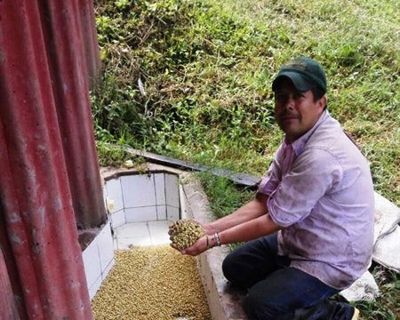 COLOMBIA ORGANIC TOLIMA - 33076 - GrainPro Bags - SPOT RCWHSE