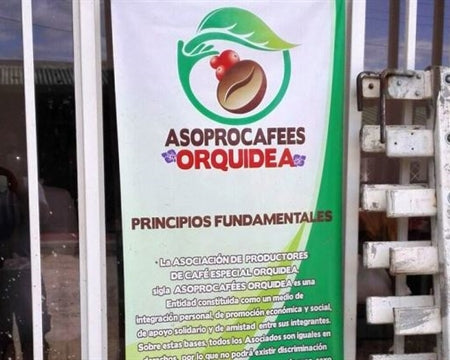 COLOMBIA ORGANIC TOLIMA 84+ - *51068* - 25250 - GrainPro Bags - SPOT RCWHSE