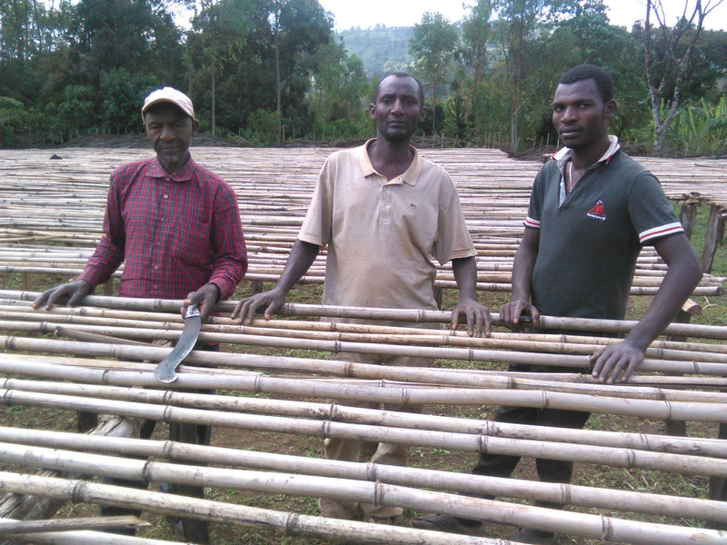 ETHIOPIA YIRGACHEFFE GEDEB 1 NATURAL ORGANIC CHELBESA BEKELE DUKALE - *50541* - 25456 - GrainPro Bags - SPOT RCWHSE
