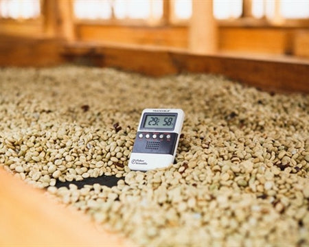 Guatemala Antigua Duraznito - Lot 17286 *51029* - 25178 - 46.0 kg GrainPro Bags - SPOT RCWHSE