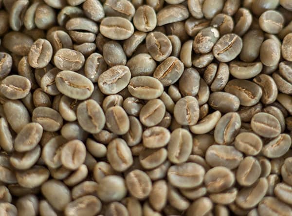 BRAZIL ORGANIC FAZENDA FORTALEZA NATURAL 15+ - 34110 - Videplast Bags - SPOT RCWHSE