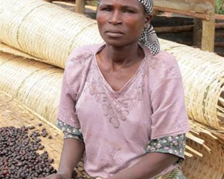 ETHIOPIA YIRGACHEFFE 4 NATURAL FT ORGANIC BILOYA - 30126 - GrainPro Bags - SPOT COSEATAC