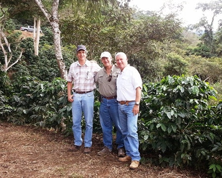 El Salvador Finca El Guarumal Natural Caturra - *49809H* - 25421 - GrainPro Bags - SPOT DUPUYHOU