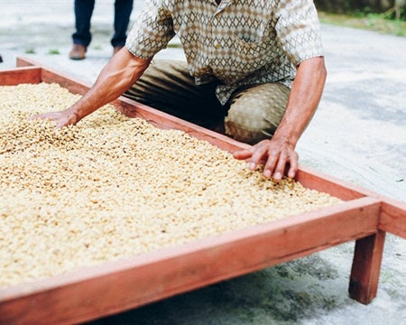 BALI ORGANIC BLUE MOON WET HULLED - 29034-2 - GrainPro Bags - SPOT DUPUYHOU