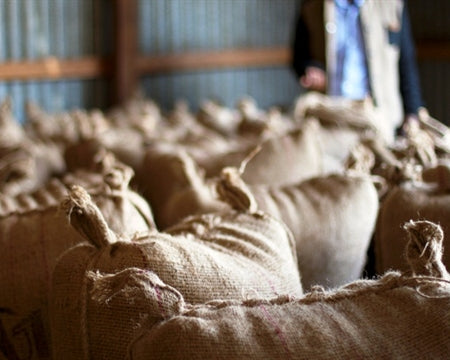 ETHIOPIA YIRGACHEFFE 1 ORGANIC NATURAL BANKO CHELCHELE BOGALE TURIKU  - 28194 - GrainPro Bags - SPOT RCWHSE