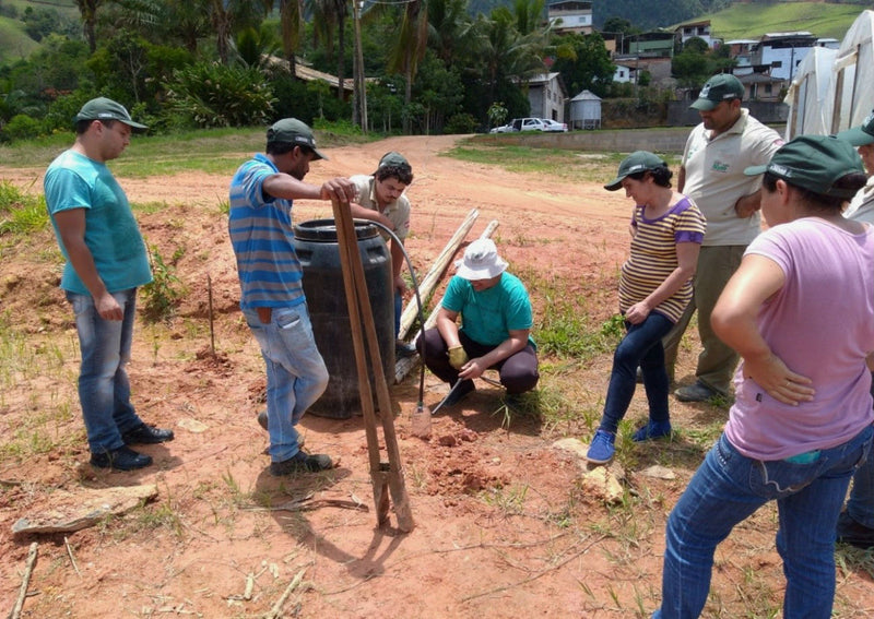 BRAZIL ORGANIC RFA FAZENDA KLEM NATURAL RED CATUAI 15+ - *48228* - 25963 - 60.0 kg Videplast Bags - SPOT RCWHSE