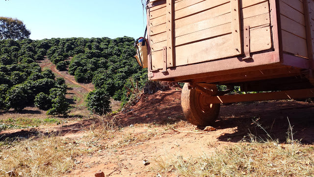 Brazil Cerrado SS FC 15/16 - *51430* - 24578 - 60.0 kg Bags - SPOT RCWHSE
