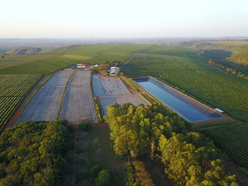 Brazil Cerrado Fazenda Plato Azul 2/3 16+ - 29620 - Videplast Bags - SPOT RCWHSE